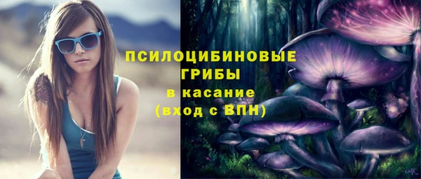стафф Алзамай