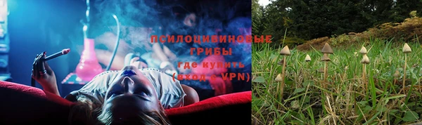 прущие грибы Алексеевка