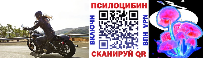 Галлюциногенные грибы мицелий  Севастополь 